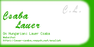 csaba lauer business card